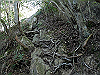 k12_090_thumb.png