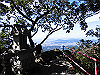k12_092_thumb.png