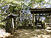 k12_095_thumb.png