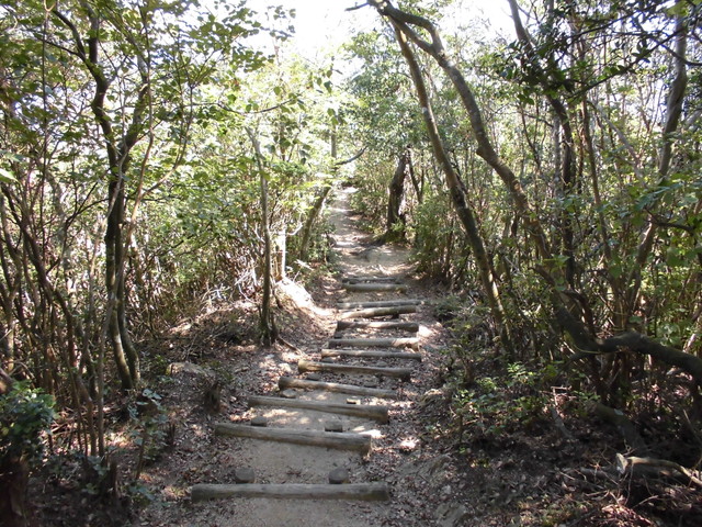 k12_100.jpg