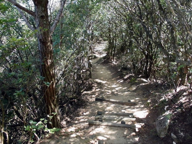 k12_101.jpg
