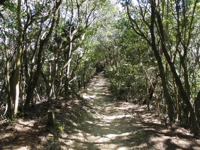 k12_102.jpg