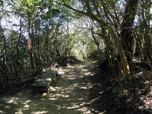 k12_103.jpg