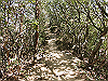 k12_104_thumb.png