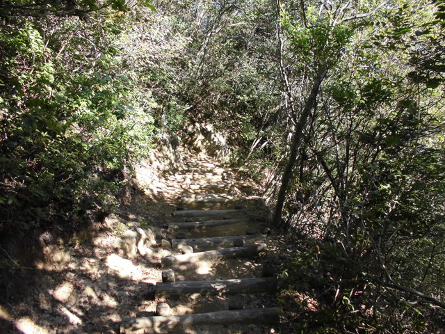 k12_105.jpg