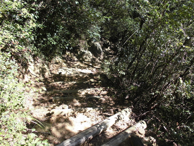 k12_106.jpg