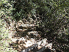 k12_106_thumb.png