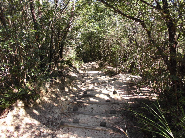 k12_108.jpg