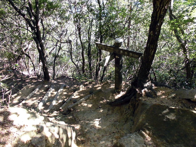 k12_109.jpg