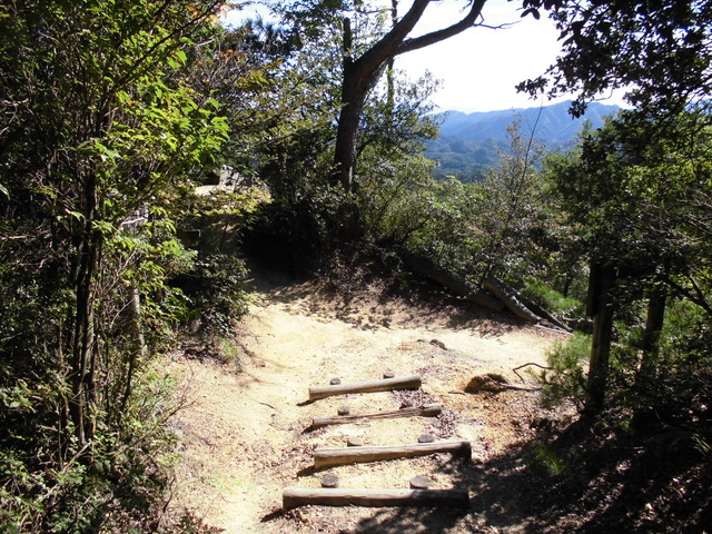 k12_111.jpg