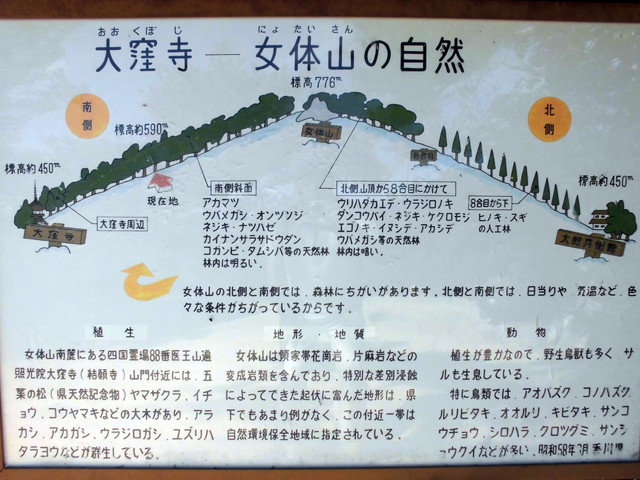 k12_114.jpg