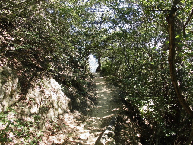 k12_115.jpg