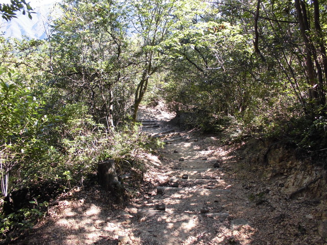 k12_117.jpg