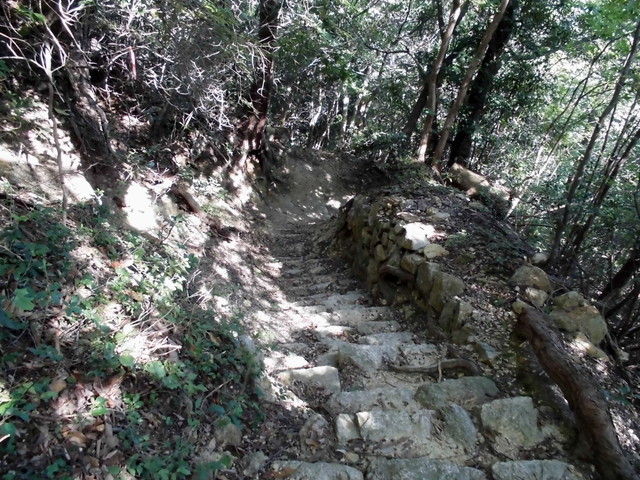 k12_118.jpg