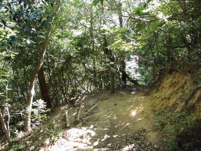 k12_119.jpg