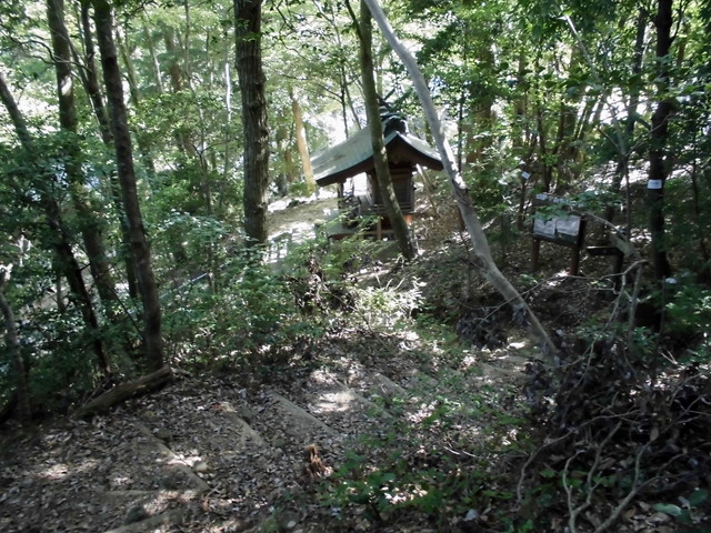k12_120.jpg