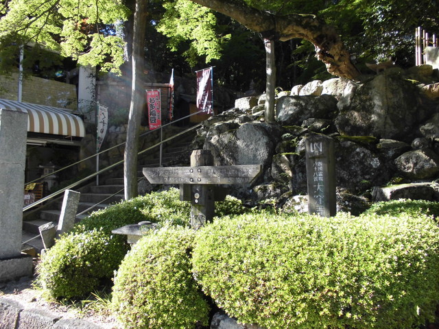 k12_125.jpg