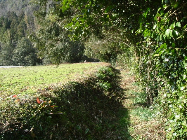 k13_17.jpg