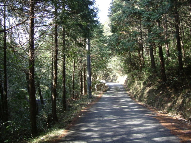 k13_36.jpg