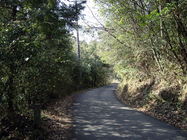 k13_37.jpg