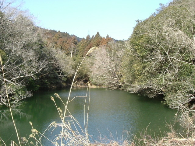 k13_40.jpg