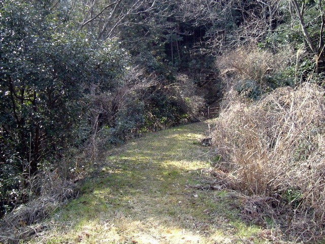 k13_41.jpg