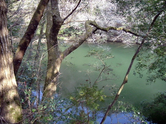 k13_42.jpg