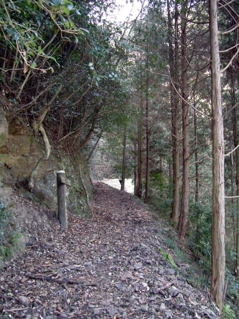 k13_43.jpg