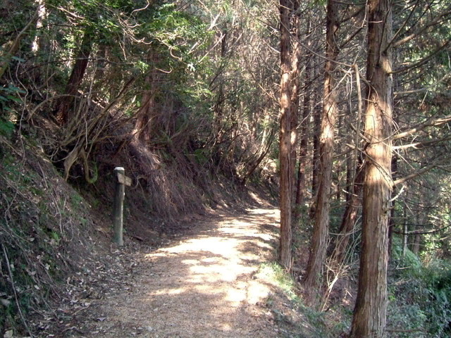k13_44.jpg