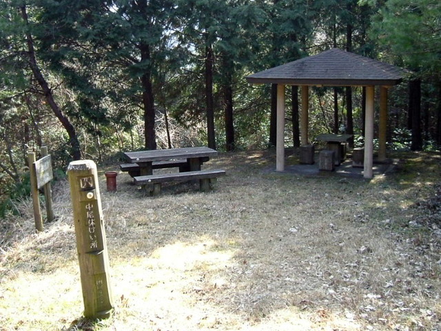 k13_45.jpg