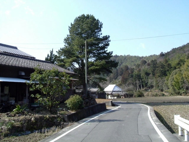 k13_48.jpg
