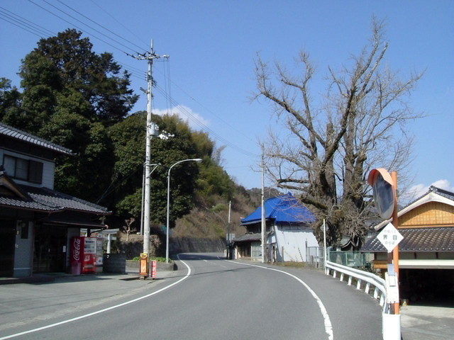 k13_52.jpg