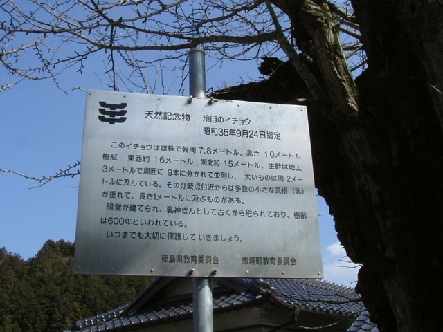 k13_54.jpg