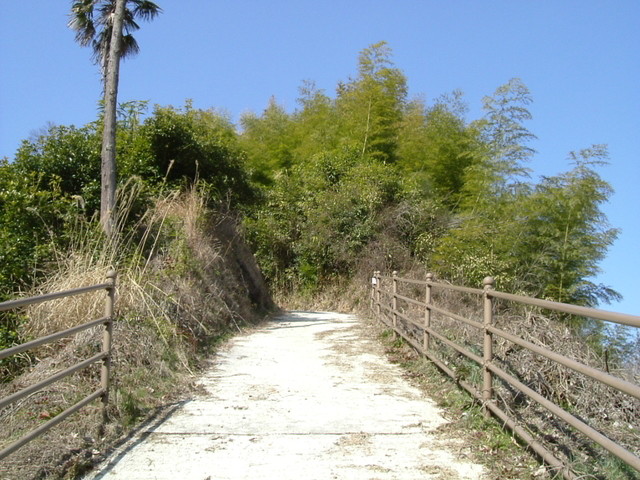 k13_57.jpg