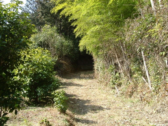 k13_58.jpg