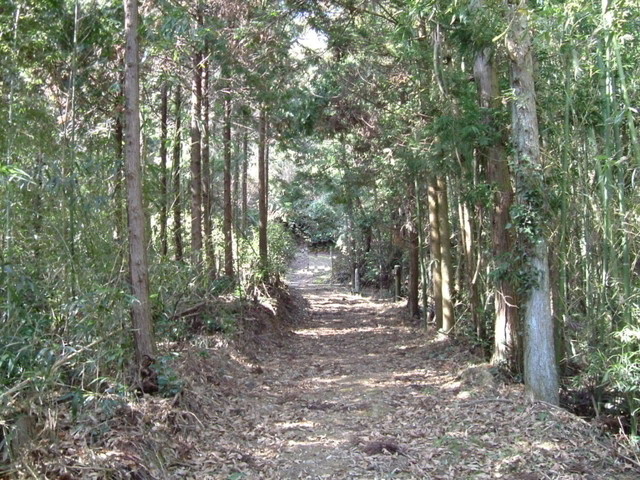 k13_59.jpg