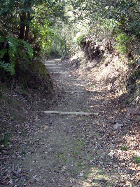 k13_60.jpg