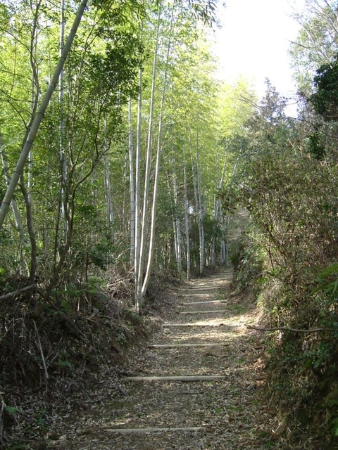 k13_61.jpg