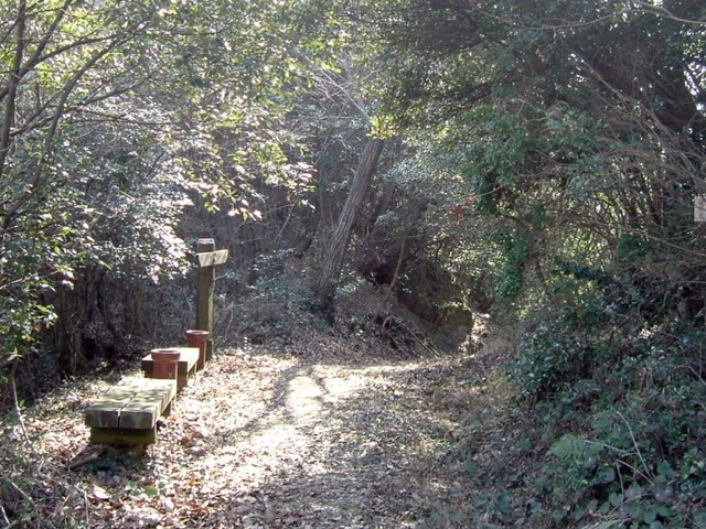 k13_62.jpg