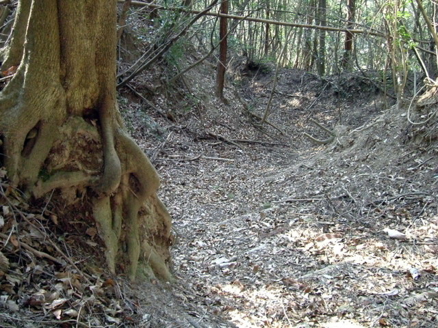 k13_63.jpg