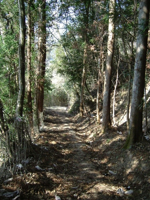k13_64.jpg