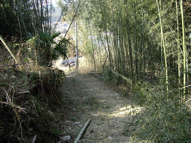 k13_65.jpg
