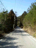 k13_76_thumb.png