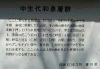 k13_78_thumb.png