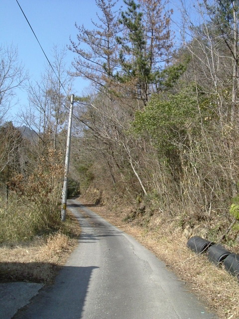 k13_79.jpg