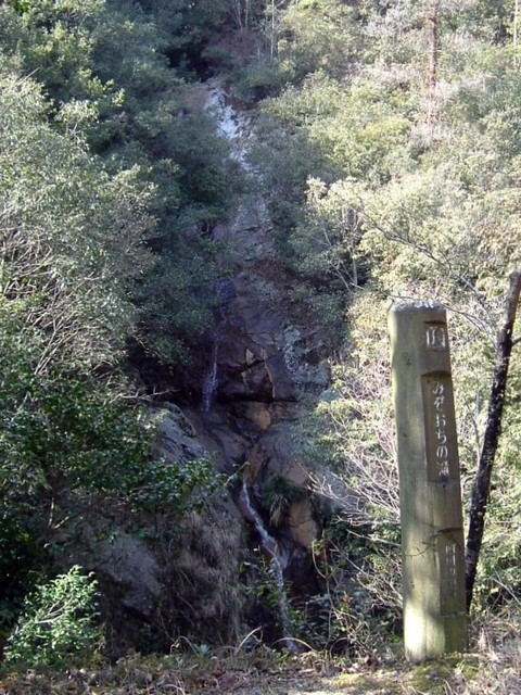 k13_80.jpg