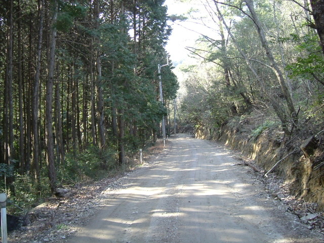 k13_82.jpg