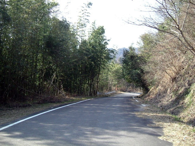k13_85.jpg