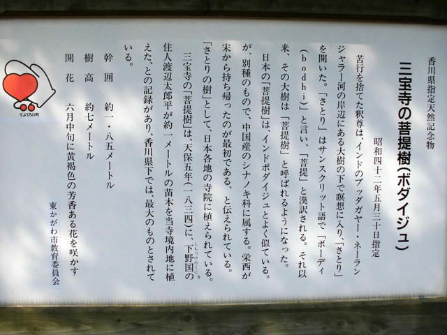 k14_02.jpg