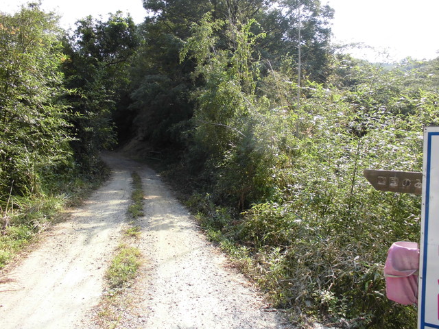 k14_11.jpg